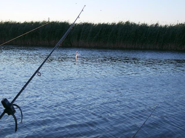 Doar ... NATURA  - 2 - gedc0257.JPG